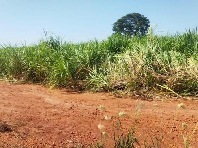 Sítio e chácara venda em Frutal, Região Geográfica Intermediária de Uberaba