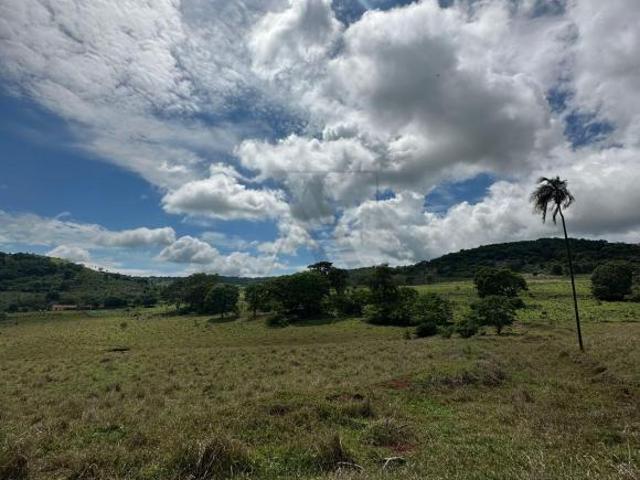 Sítio e chácara venda em Região Geográfica Imediata de Ceres - Rialma - Goianésia, Goianésia