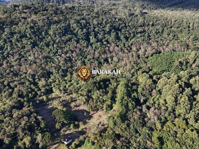 Sítio e chácara venda em Região Geográfica Imediata de Caxias do Sul, Gramado