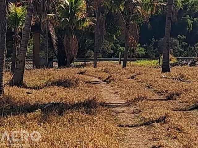 Sítio e chácara venda em Região Imediata de Marília, Guaimbê