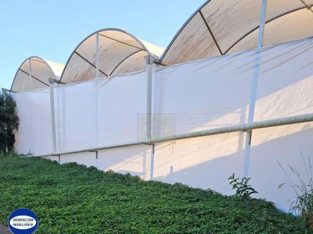 Sítio e chácara venda em Holambra