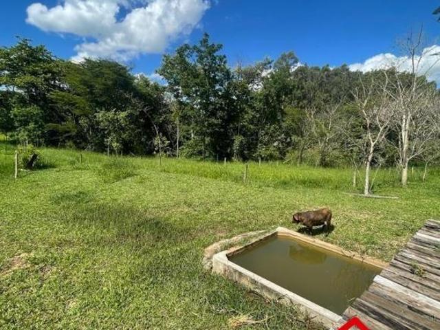 Sítio e chácara venda em Região Imediata de Marília, Marília