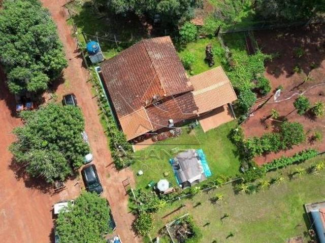 Sítio e chácara venda em Região Imediata de Ribeirão Preto, Região Metropolitana de Ribeirão Preto
