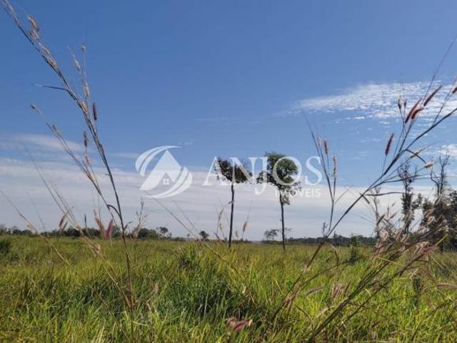 Sítio e chácara venda em Região Geográfica Imediata de Sinop, Sinop