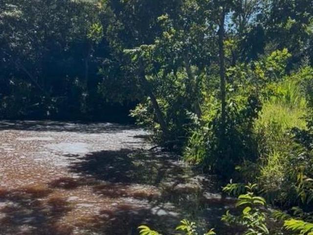 Sítio e chácara venda em Região Geográfica Imediata de Campo Grande, Terenos