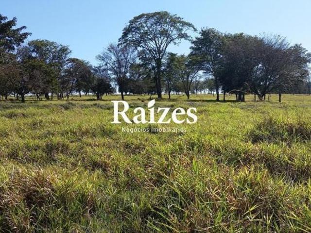 Sítio e chácara venda em Setor Sul, Uberlândia