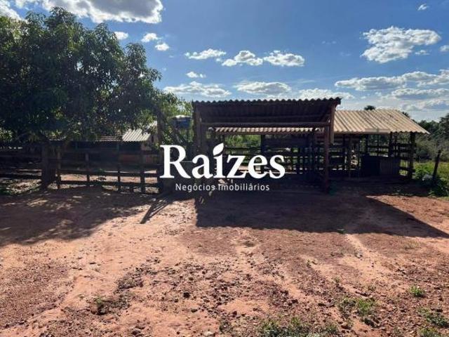 Sítio e chácara venda em Setor Sul, Uberlândia