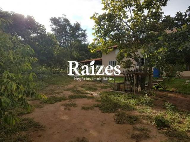 Sítio e chácara venda em Setor Sul, Uberlândia
