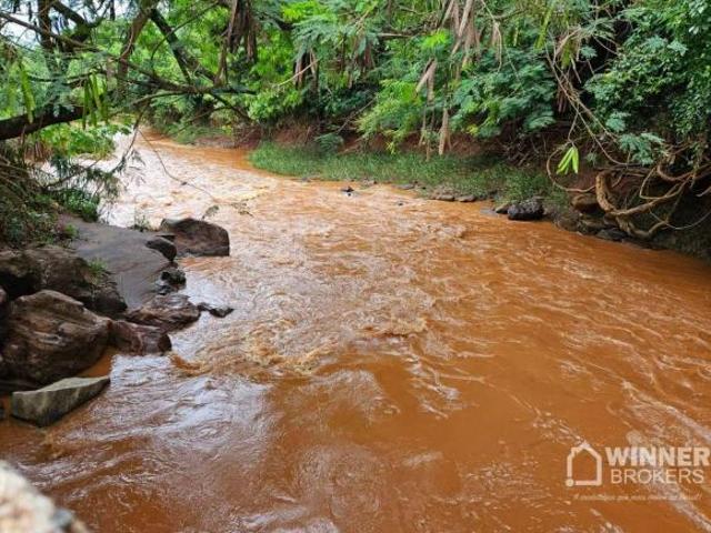 Sítio e chácara venda em Região Geográfica Imediata de Maringá, Floresta