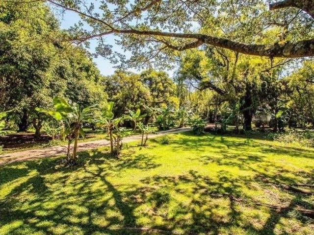 Sítio e chácara venda em Região Geográfica Imediata de Porto Alegre, Região Metropolitana de Porto Alegre