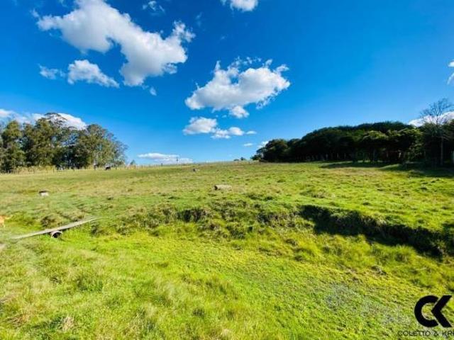 Sítio e chácara venda em Região Geográfica Imediata de Santa Maria, Santa Maria