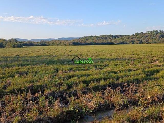 Sítio e chácara venda em Região Geográfica Imediata de Santa Maria, Santa Maria