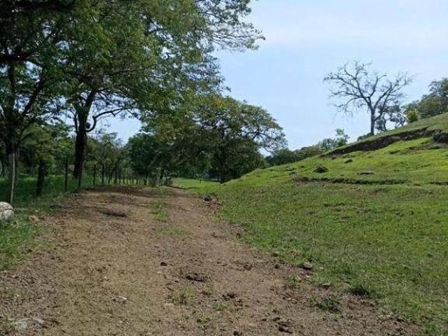Sítio e chácara venda em Região Geográfica Imediata de Londrina, Assaí