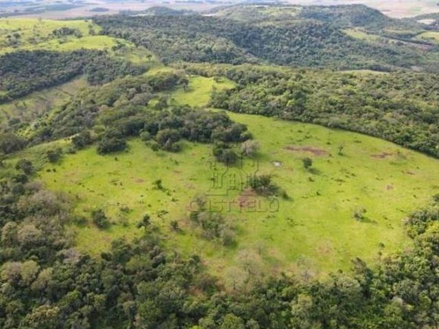 Sítio e chácara venda em Região Geográfica Imediata de Londrina, Assaí