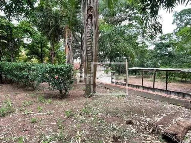 Sítio e chácara venda em Região Imediata de São José do Rio Preto, Região Metropolitana de São José do Rio Preto