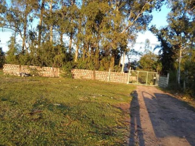 Sítio e chácara venda em Região Geográfica Imediata de Porto Alegre, Região Metropolitana de Porto Alegre