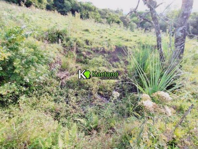 Sítio e chácara venda em Boca do Monte, Santa Maria
