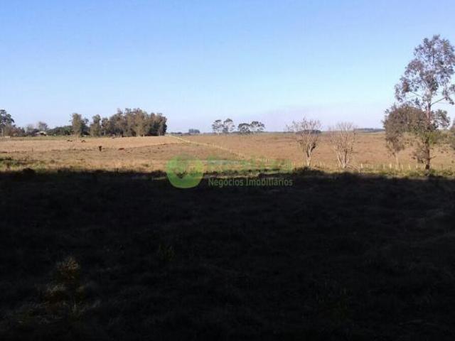 Sítio e chácara venda em Cordilheira, Cachoeira do Sul