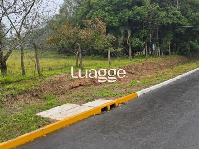 Sítio e chácara venda em Região Geográfica Imediata de Porto Alegre, Região Metropolitana de Porto Alegre