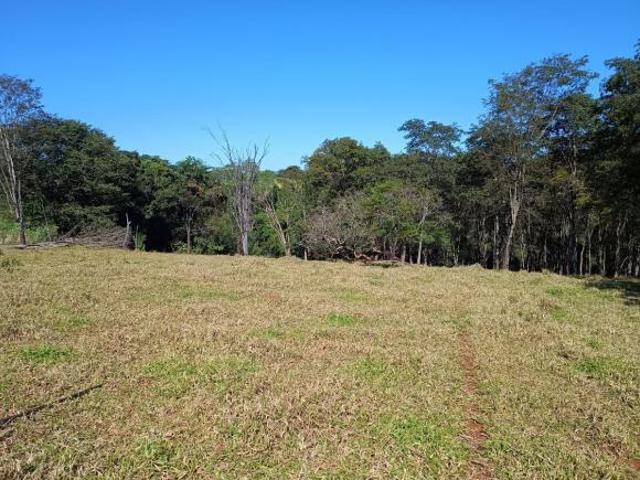 Sítio e chácara venda em Região Imediata de Ribeirão Preto, Região Metropolitana de Ribeirão Preto
