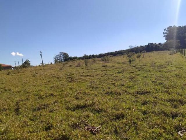 Sítio e chácara venda em Cajuru, Região Geográfica Intermediária de Ribeirão Preto