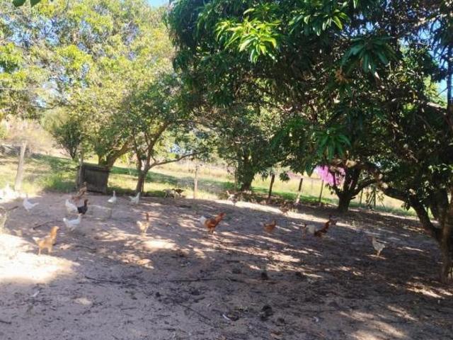 Sítio e chácara venda em Região Imediata de Ribeirão Preto, Região Metropolitana de Ribeirão Preto