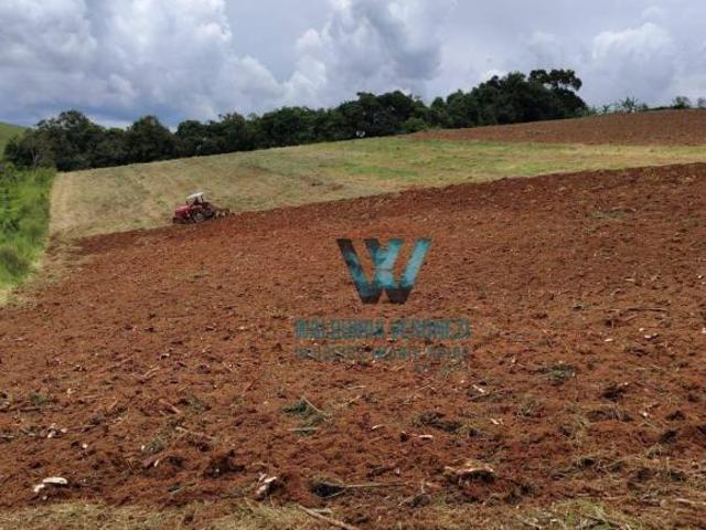 Sítio e chácara venda em Caldas, Região Geográfica Intermediária de Pouso Alegre