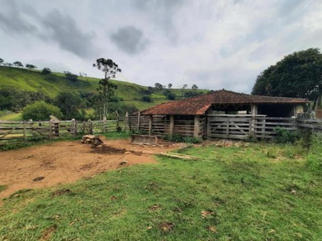 Sítio e chácara venda em Região Geográfica Imediata de Belo Horizonte, Região Metropolitana de Belo Horizonte