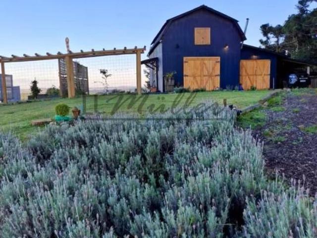 Sítio e chácara venda em Região Geográfica Imediata de Caxias do Sul, Cambara do Sul