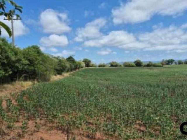 Sítio e chácara venda em Região Geográfica Imediata de Santa Maria, Santa Maria