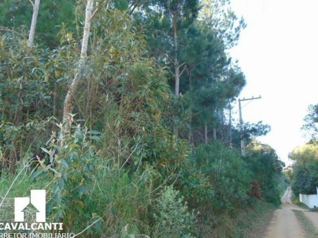 Sítio e chácara venda em Centro, São José dos Pinhais