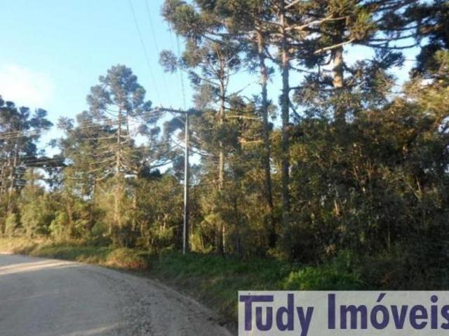 Sítio e chácara venda em Região Geográfica Imediata de Curitiba, Região Metropolitana de Curitiba