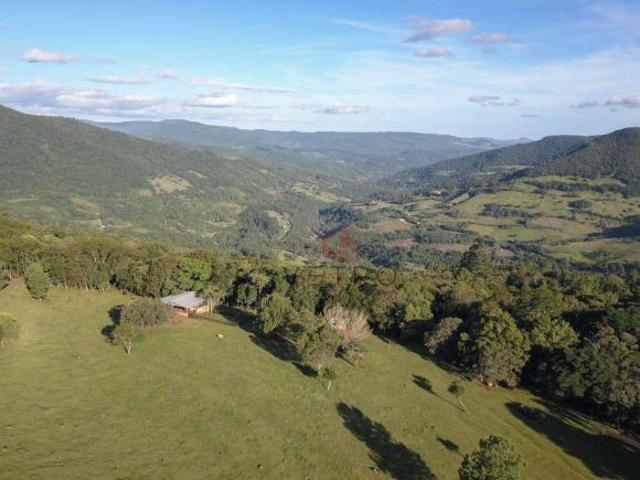 Sítio e chácara venda em Canela