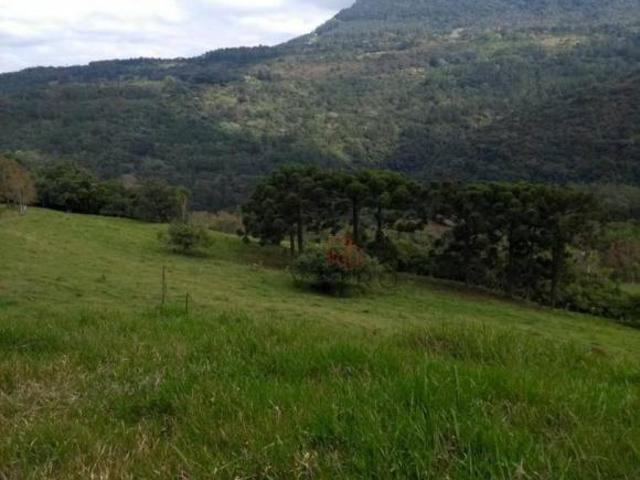 Sítio e chácara venda em Região Geográfica Imediata de Caxias do Sul, Canela