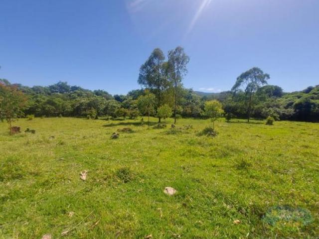 Sítio e chácara venda em Capela do Alto