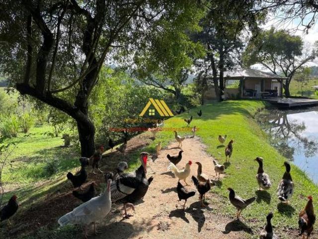 Sítio e chácara venda em Região Imediata de Sorocaba, Região Metropolitana de Sorocaba