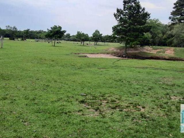 Sítio e chácara venda em Região Geográfica Imediata de Porto Alegre, Aglomeração Urbana do Litoral Norte