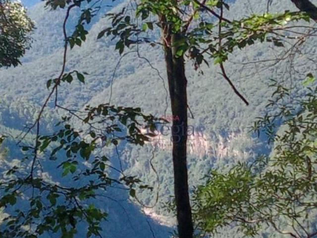 Sítio e chácara venda em Região Geográfica Imediata de Caxias do Sul, Canela