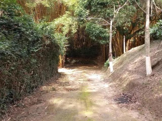 Sítio e chácara venda em Madre Gertrudes, Belo Horizonte