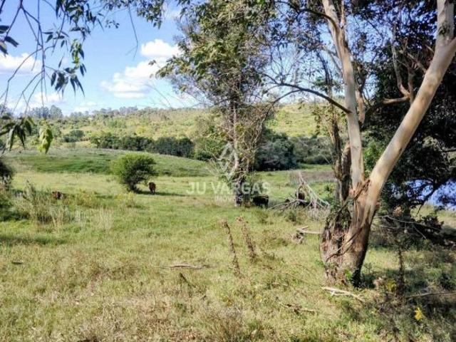 Sítio e chácara venda em Região Geográfica Imediata de Pelotas, Aglomeração Urbana do Sul