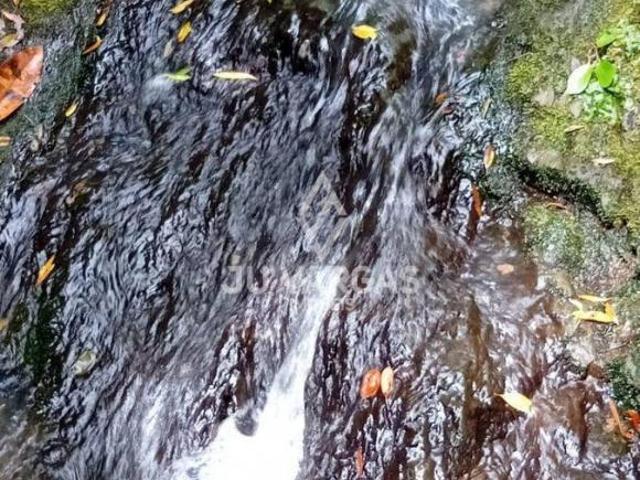 Sítio e chácara venda em Região Geográfica Imediata de Pelotas, Aglomeração Urbana do Sul