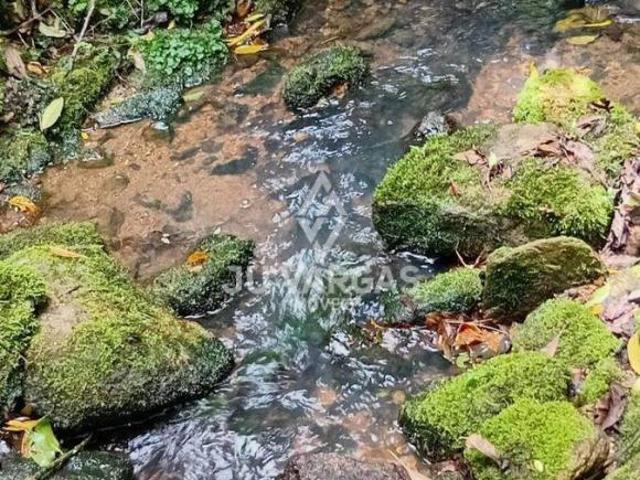 Sítio e chácara venda em Cascata, Pelotas