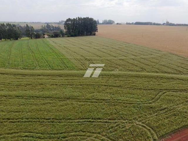 Sítio e chácara venda em Região Geográfica Imediata de Cascavel, Cascavel