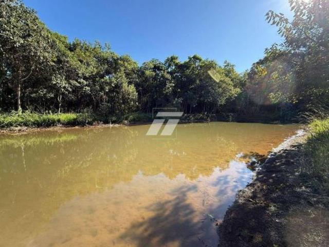 Sítio e chácara venda em Região Geográfica Imediata de Cascavel, Cascavel