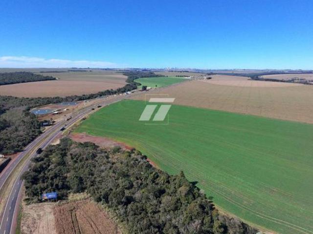 Sítio e chácara venda em Região Geográfica Imediata de Cascavel, Cascavel