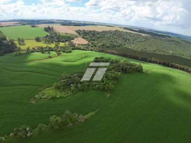 Sítio e chácara venda em Independência, Cascavel