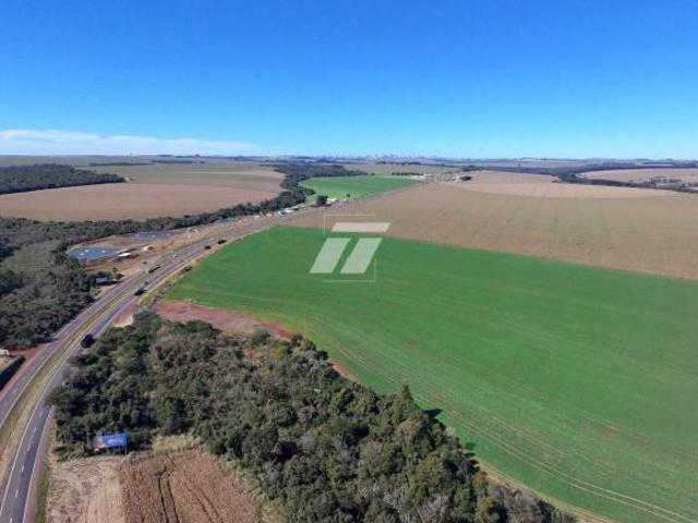 Sítio e chácara venda em Claudete, Cascavel
