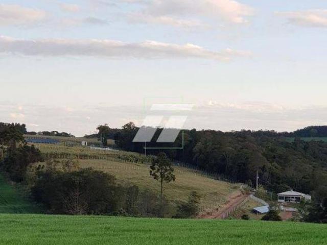 Sítio e chácara venda em Região Geográfica Imediata de Cascavel, Cascavel
