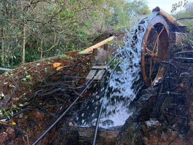 Sítio e chácara venda em Região Geográfica Imediata de Cascavel, Cascavel