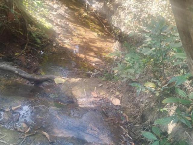 Sítio e chácara venda em Cássia dos Coqueiros, Região Geográfica Intermediária de Ribeirão Preto